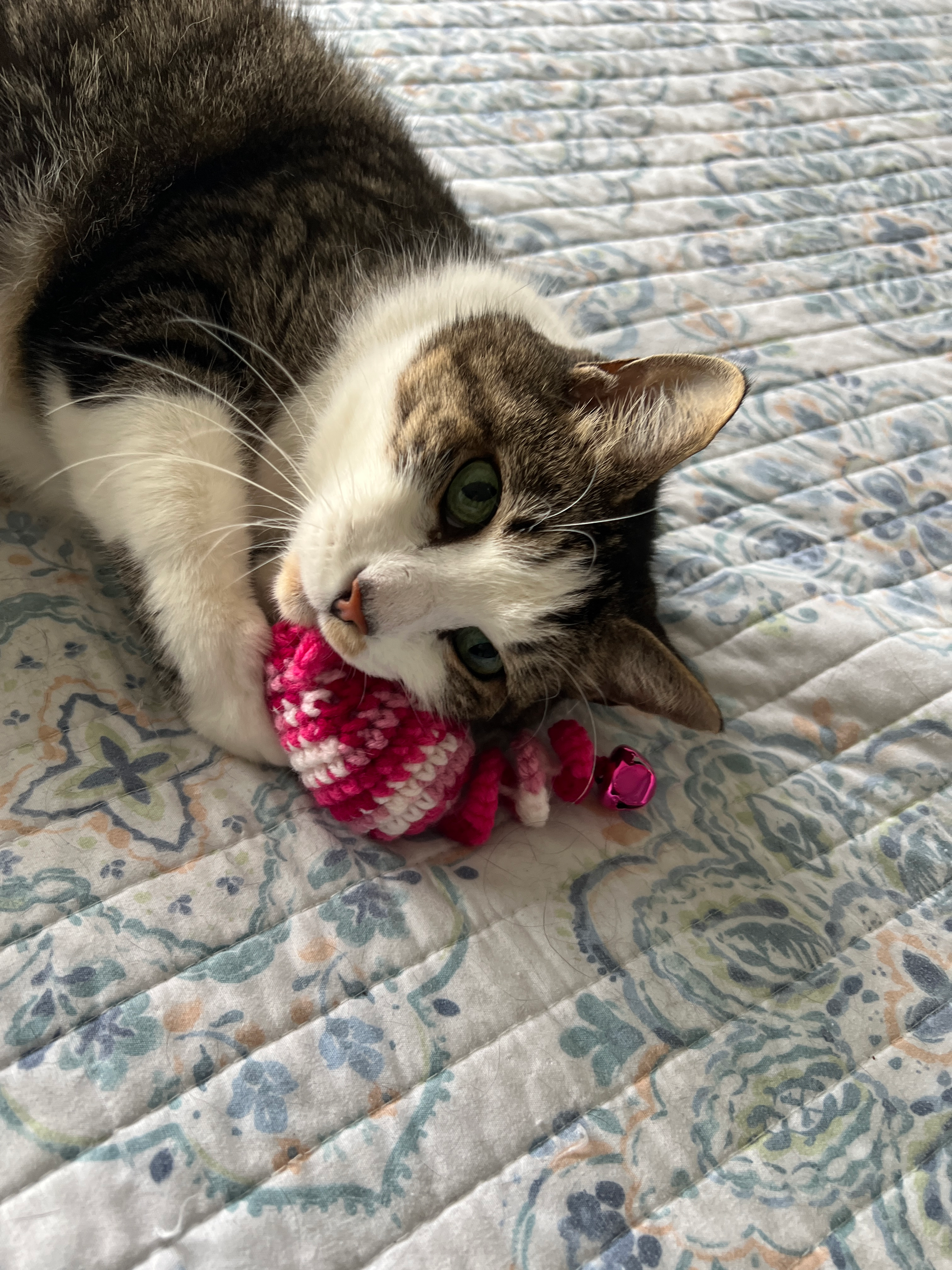 Spring cat toy, pink mouse toy, cancer awareness cat toy, cat gift, cat mom gift, cancer patient gift for cat lovers, earth conscious cat toy, eco-friendly cat toy